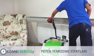 Petek Temizleme