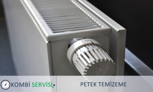 Petek Temizleme