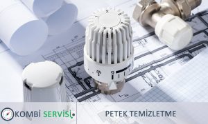 Petek Temizletme