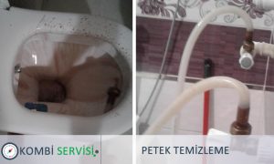 Sökmeden Petek Temizliği