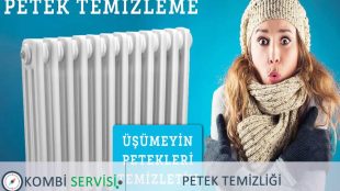 Petekleri Sökmeden Temizleme – Petek Temizleme