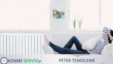 Petek Temizleme – %100 Petek Temizliği