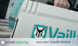 periyodik vaillant kombi bakımı