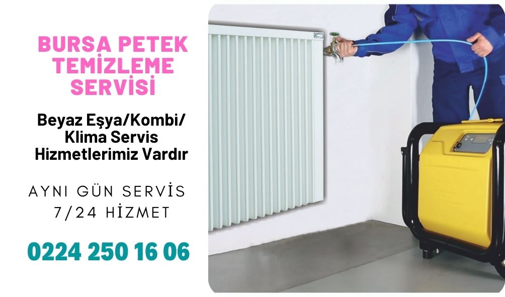 Bursa Petek Temizleme Servisi