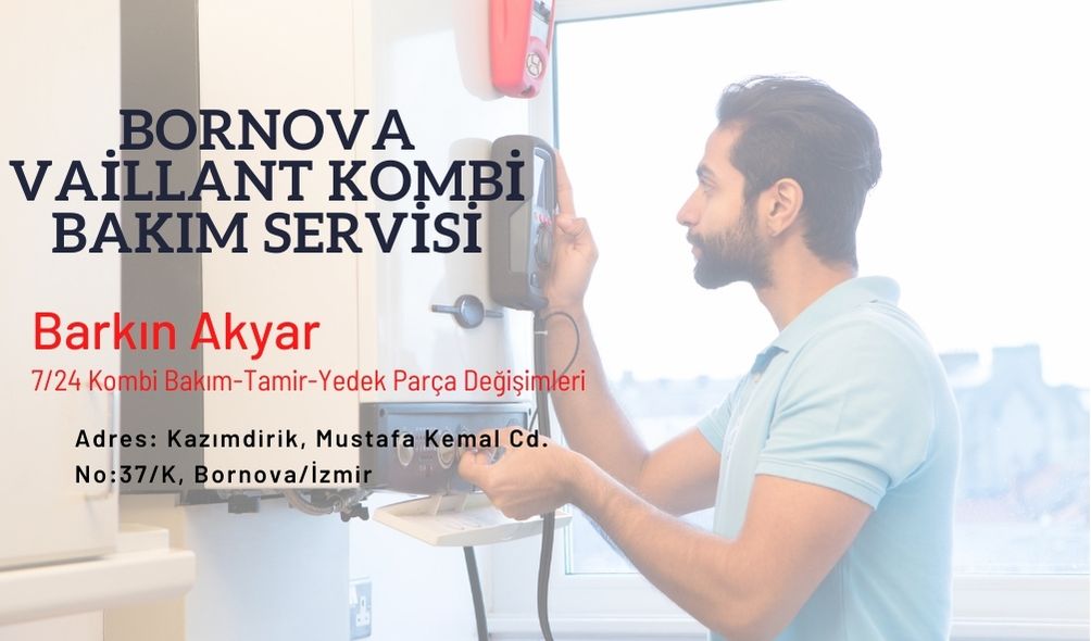 bornova-vaillant-kombi-bakim-servisi