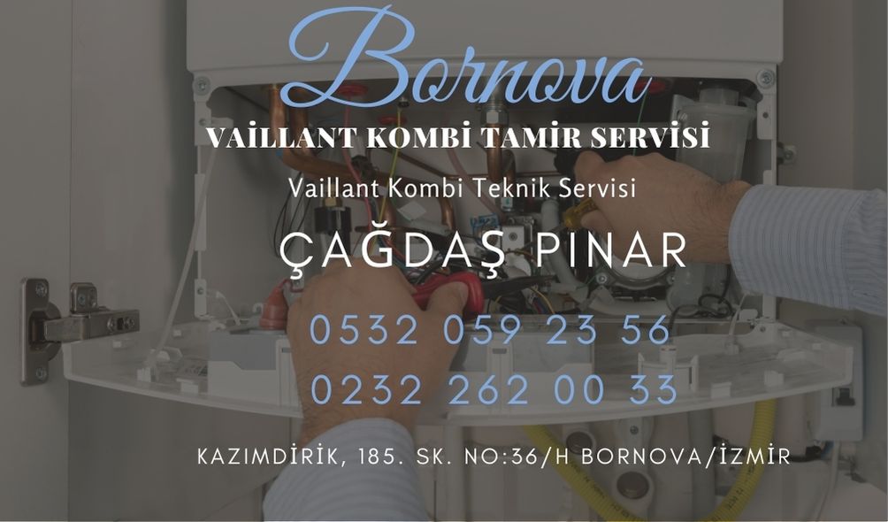 bornova-vaillant-kombi-teknik-servisi