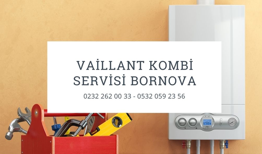 vaillant-kombi-servisi-bornova