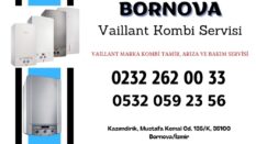 Vaillant Kombi Servisi Bornova 0232 262 00 33 | Resmi Faturalı Servis