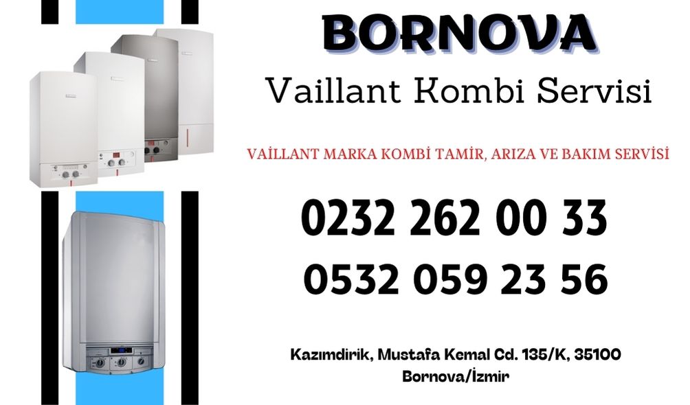 bornova-vaillant-kombi-servisi