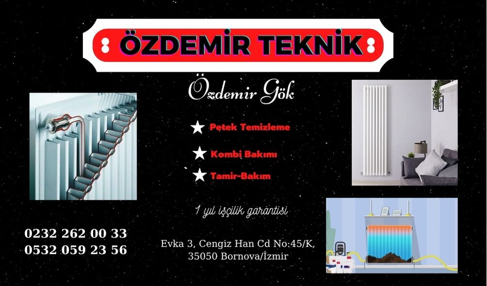 izmir-bornova-petek-temizleme